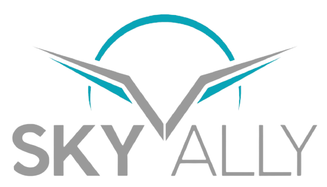 LOGO SKY ALLY